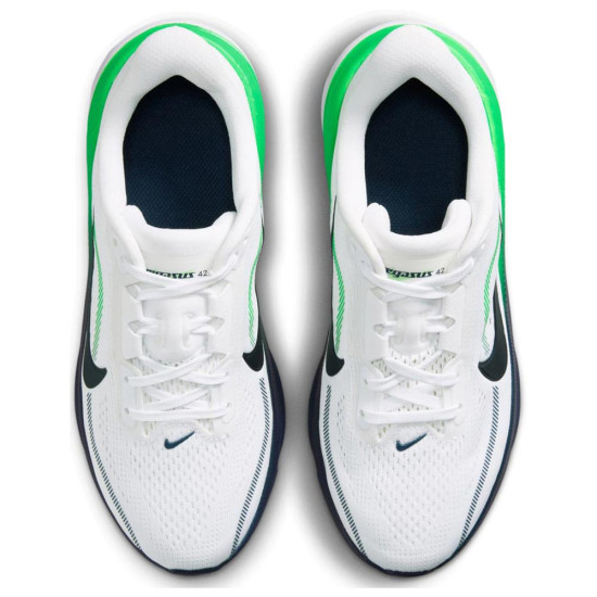 Nike Pegasus 42 (GS)